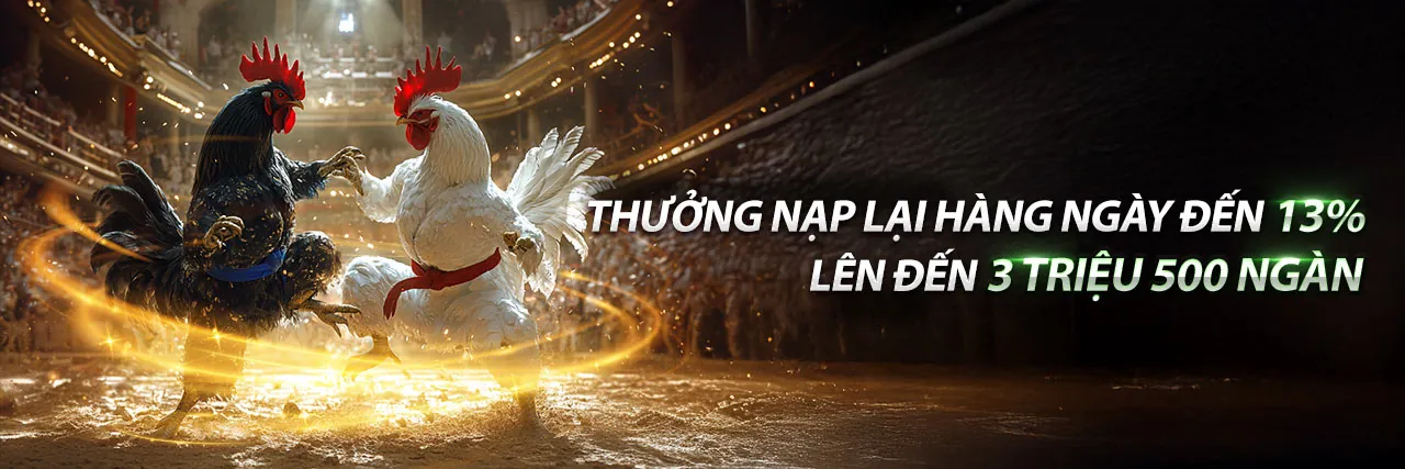 Đá gà trực tuyến 777king99 Casino